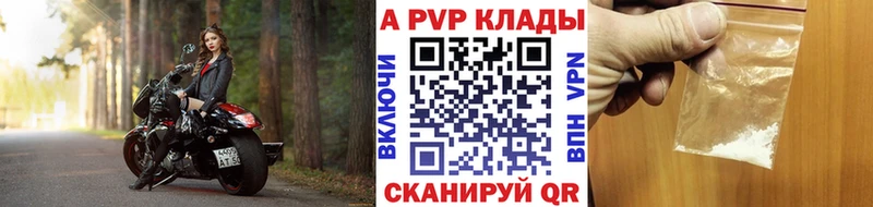 Альфа ПВП СК  Кондопога 