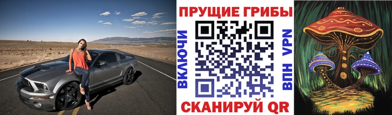 Псилоцибиновые грибы Cubensis  Кондопога 